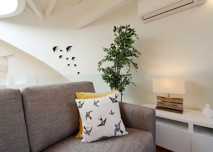 Hm - Flores Skylight *