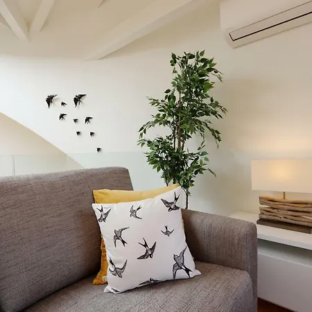 Hm - Flores Skylight *