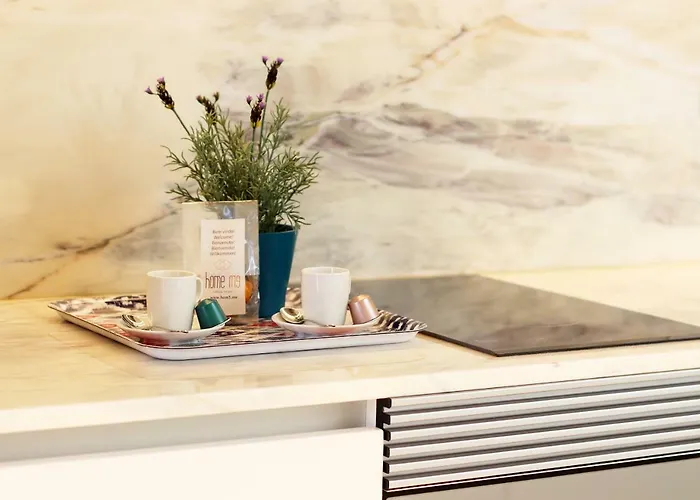 Hm - Flores Skylight ポルト